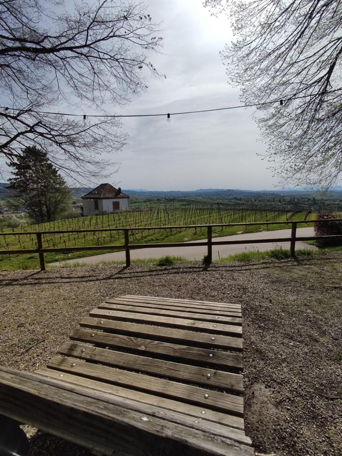Sulzbachtal In Lahr, Naehe Europapark, Naehe Rulantica *